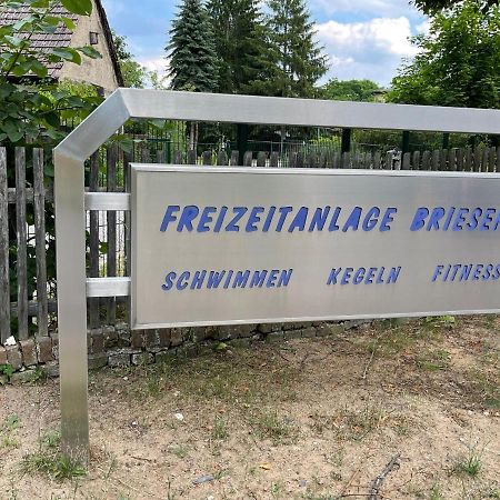 Unter Den Linden Lejlighed Halbe Eksteriør billede