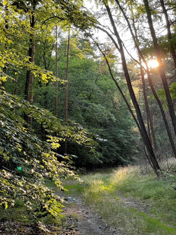 Unter Den Linden Lejlighed Halbe Eksteriør billede